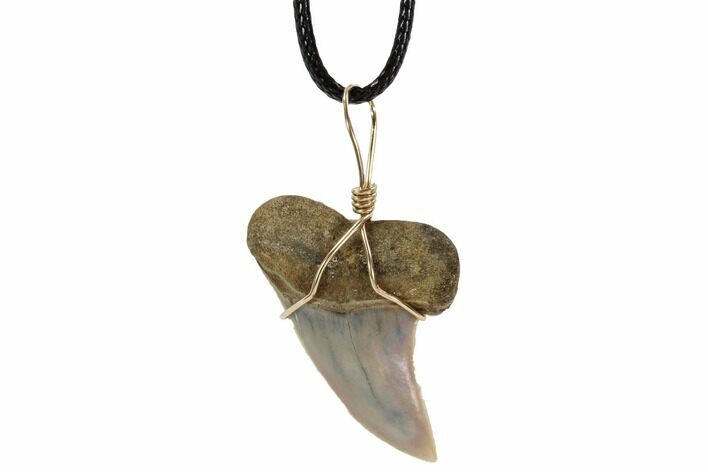 Fossil Mako Tooth Necklace - Bakersfield, California #95245